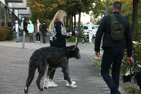 Heidi Klum con su perro y su guardaespaldas