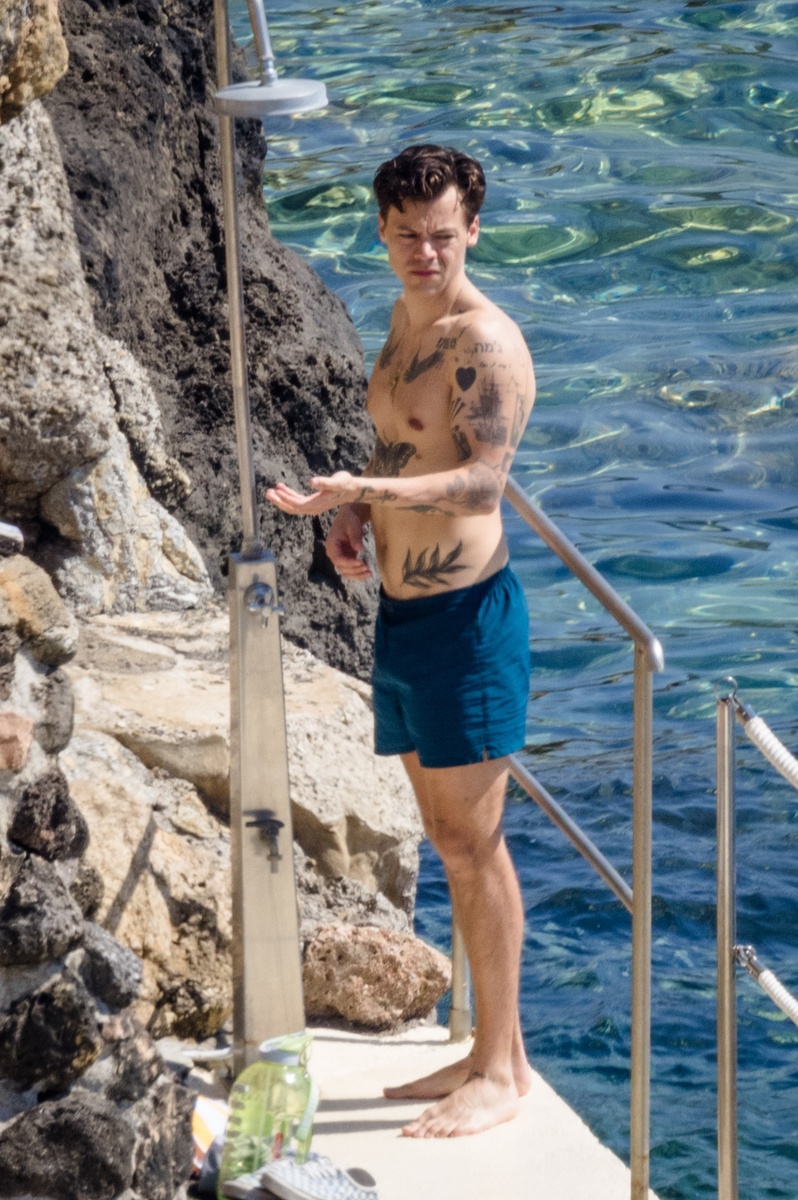 Harry Styles sin bañador 